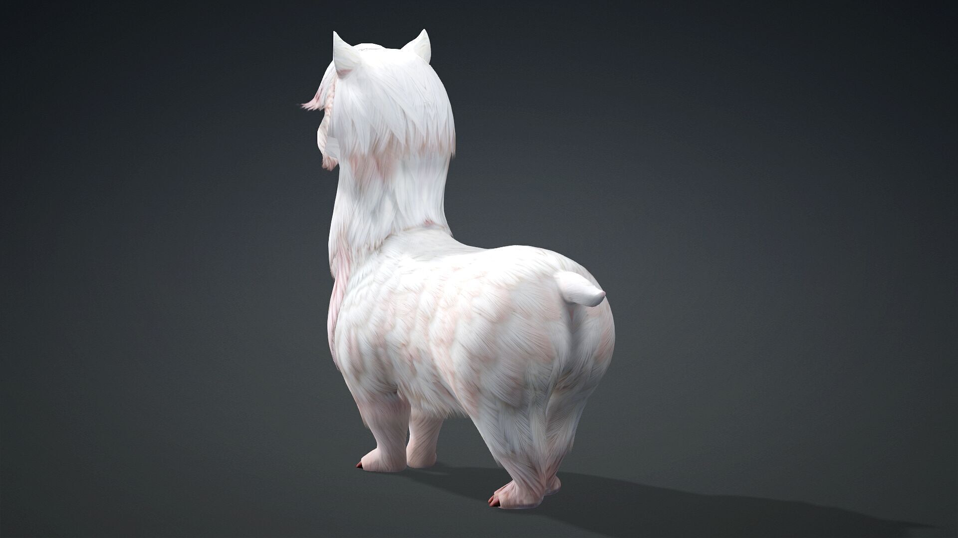 Alpaca-A2 3D model_13