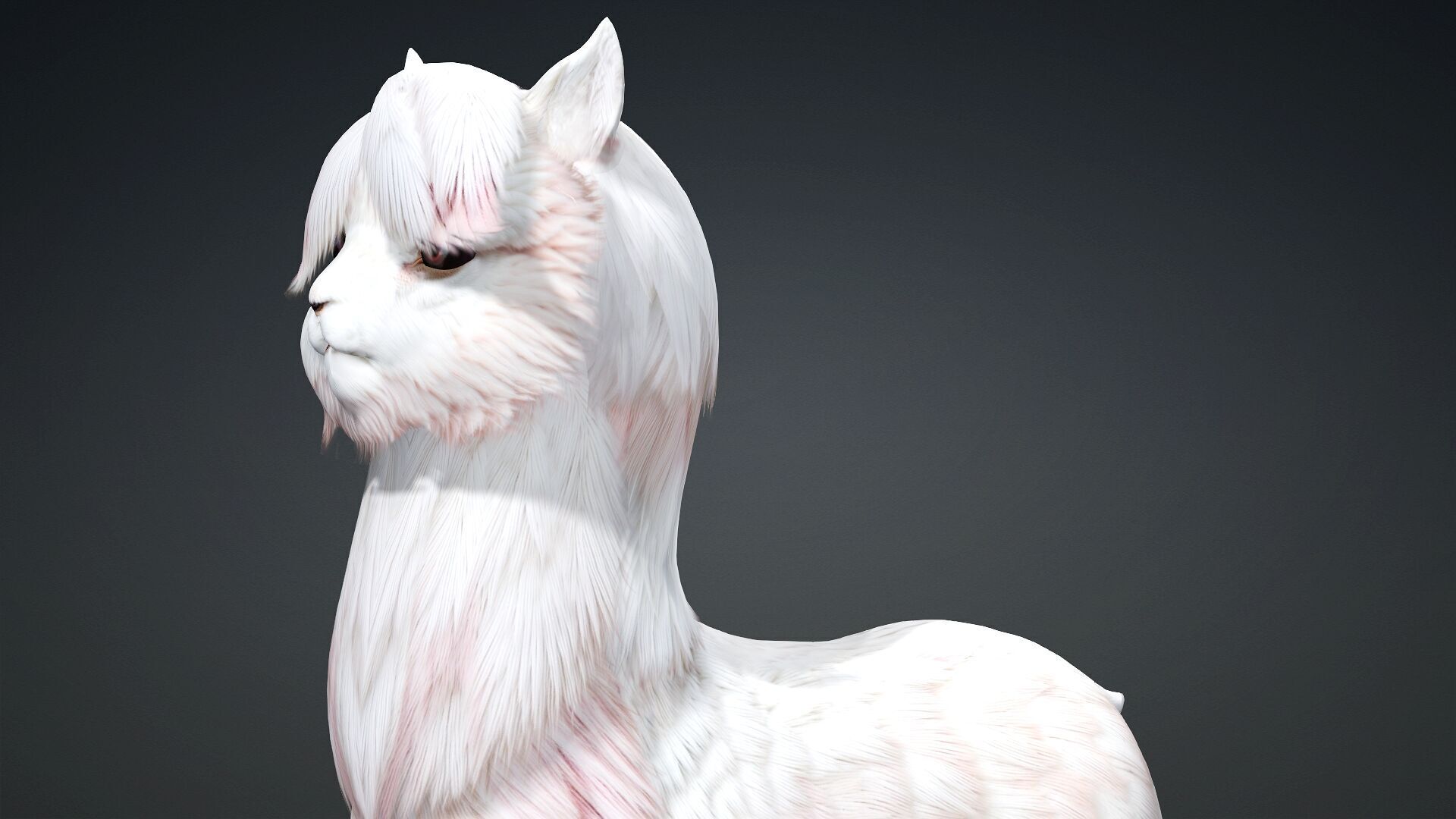Alpaca-A2 3D model_12