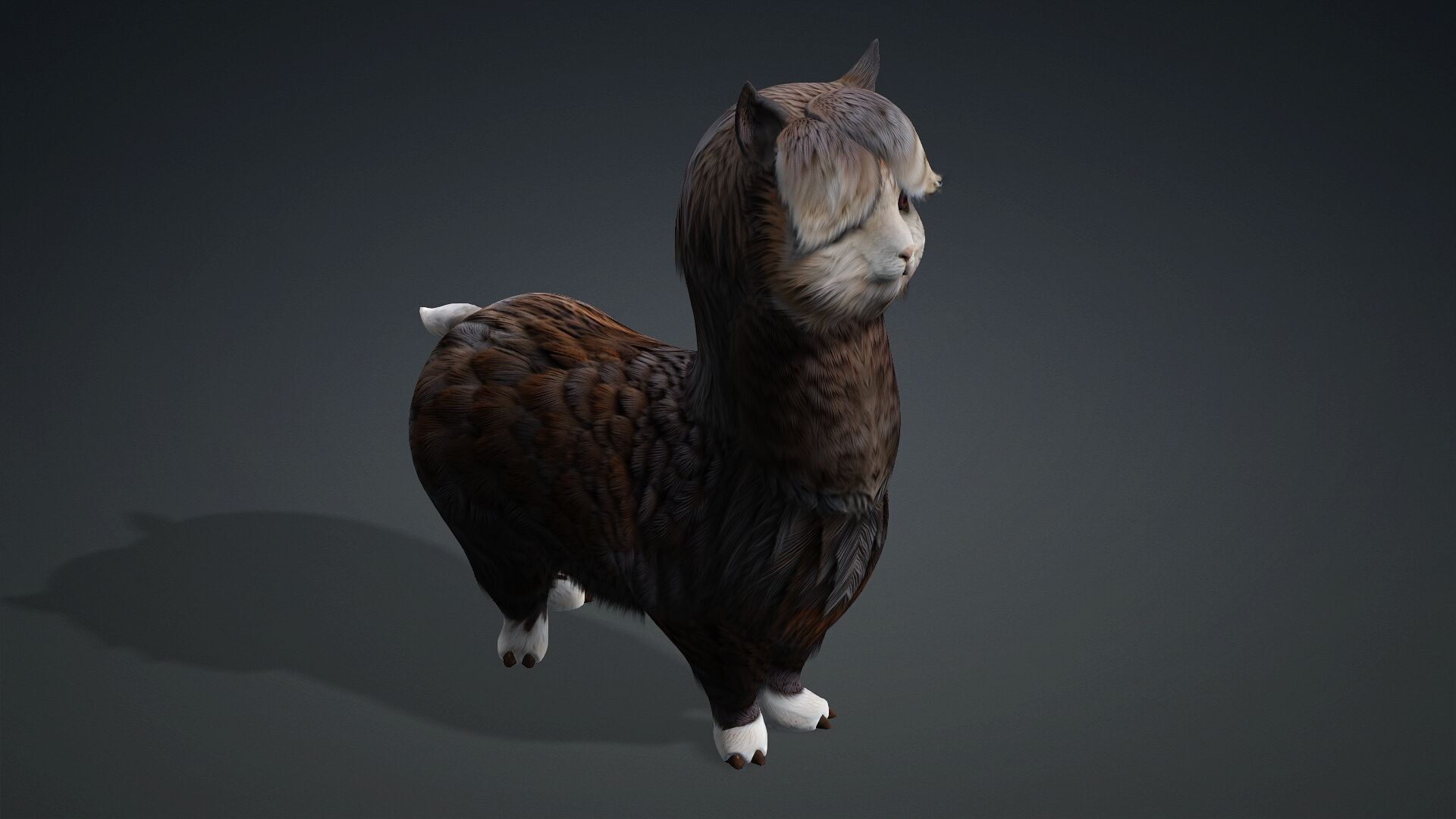 Alpaca-A3 3D model_10