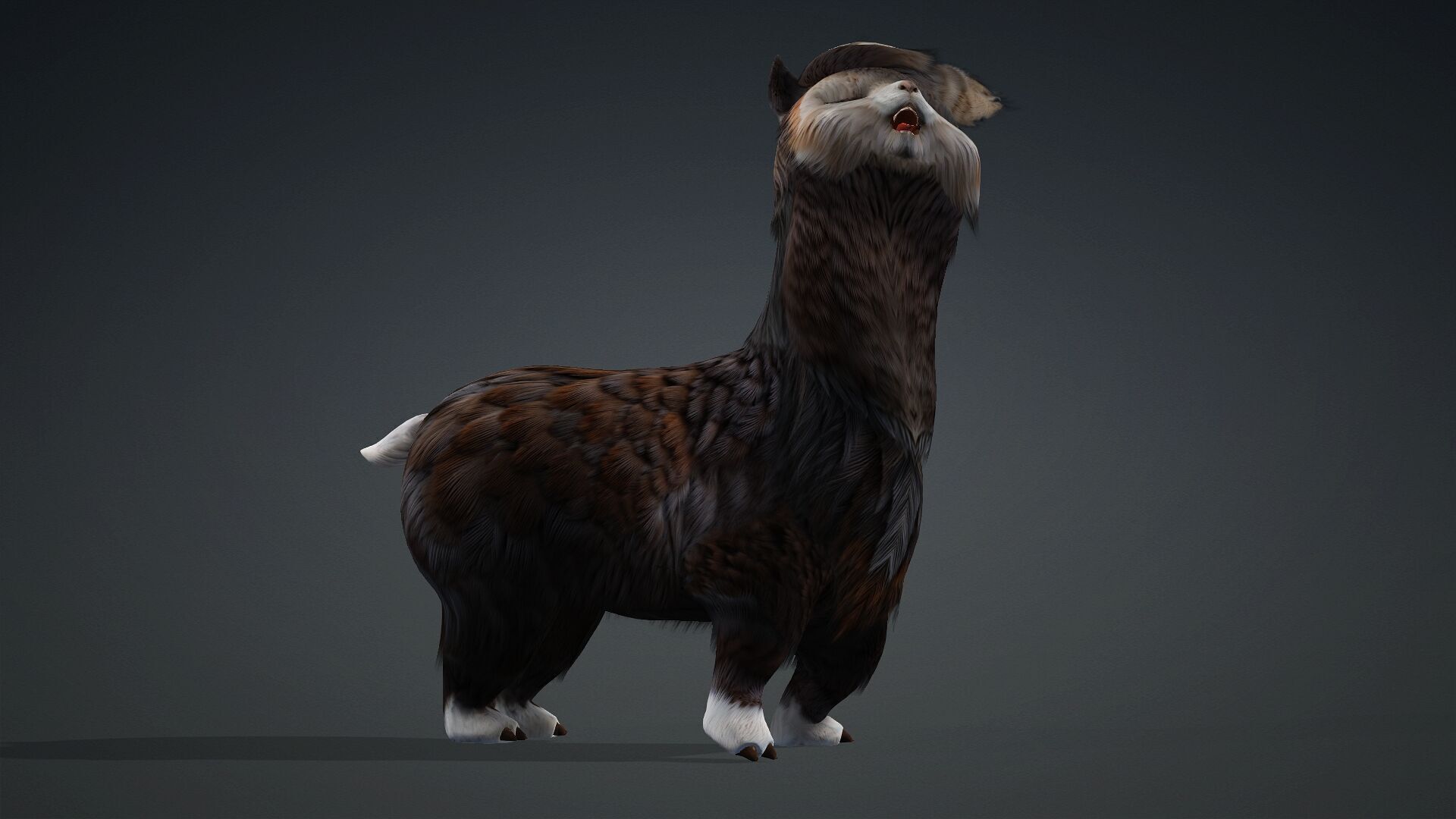 Alpaca-A3 3D model_15