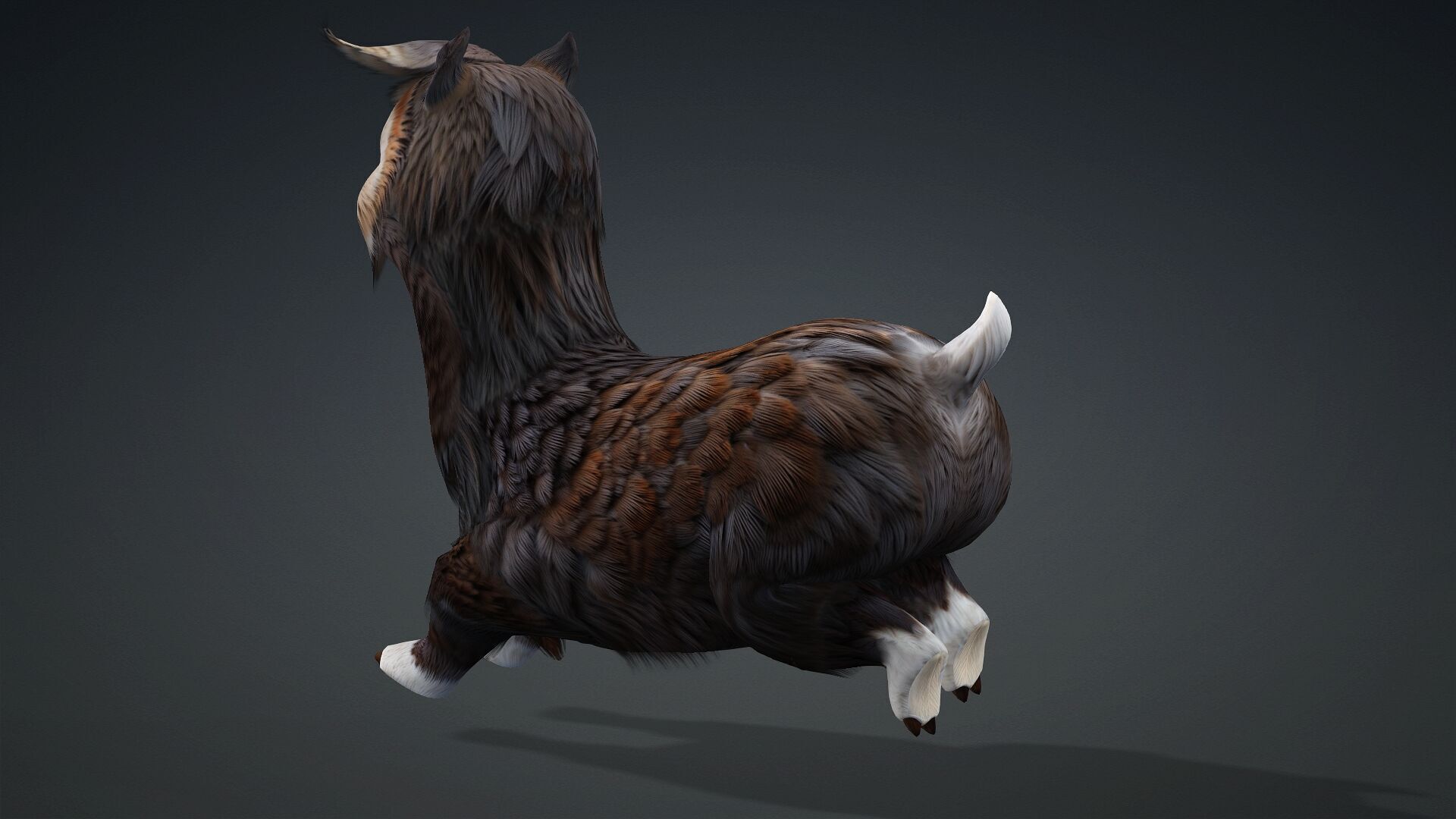 Alpaca-A3 3D model_7