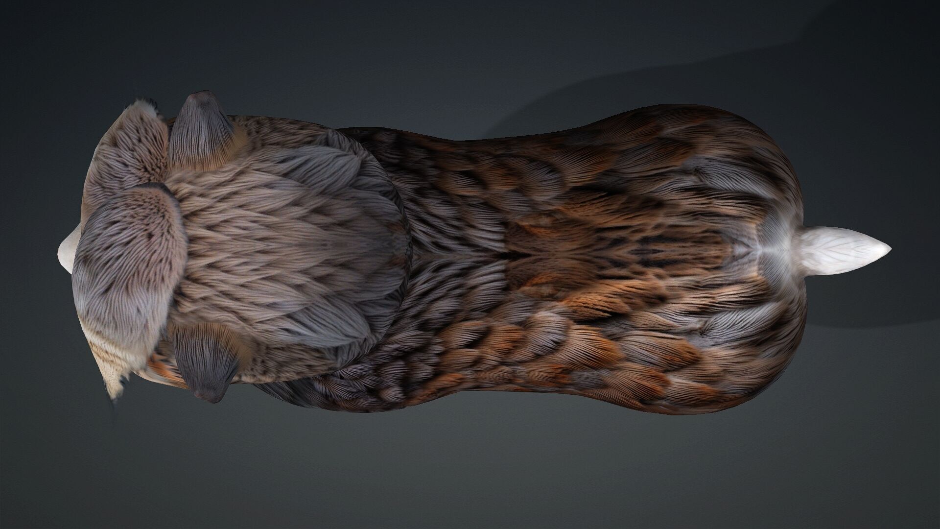 Alpaca-A3 3D model_11