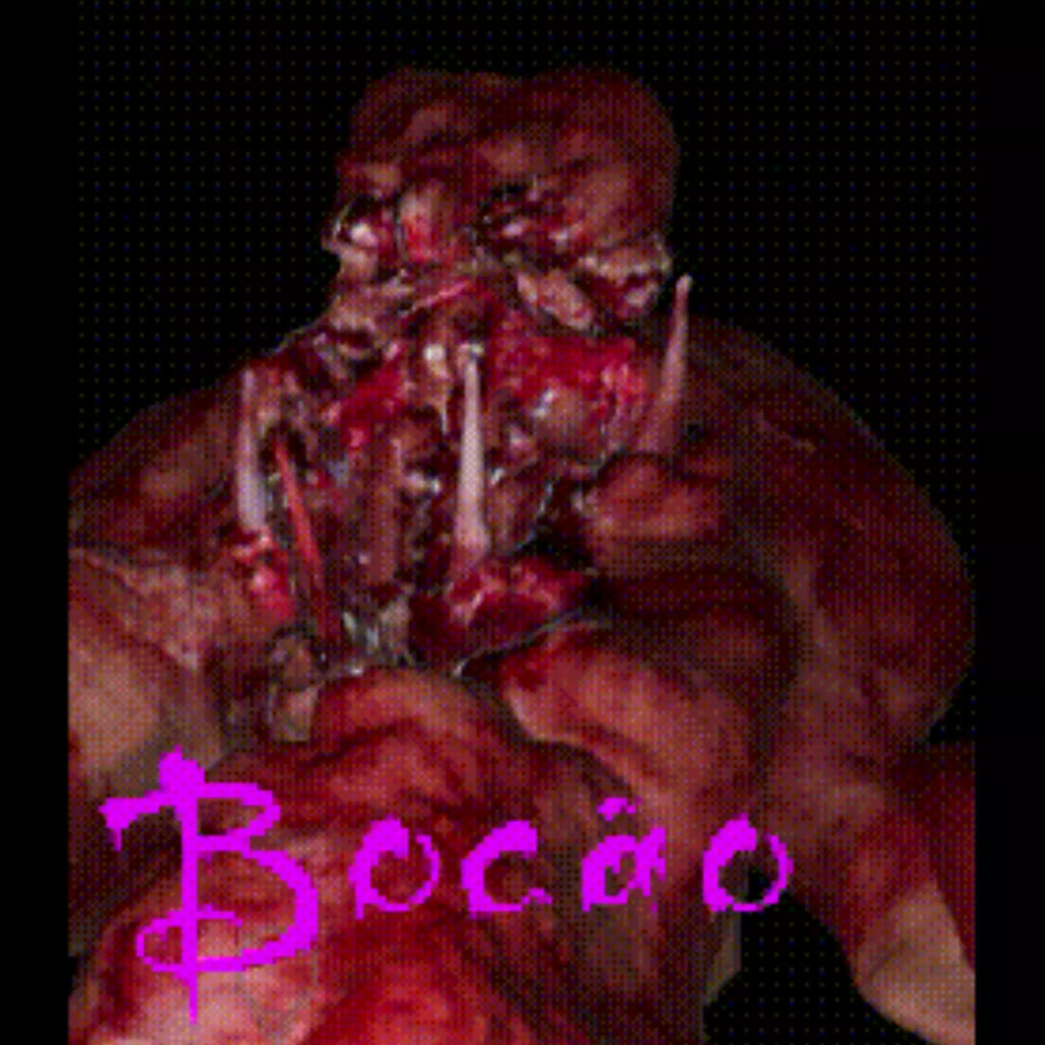 BOCAO Free 3D model_0