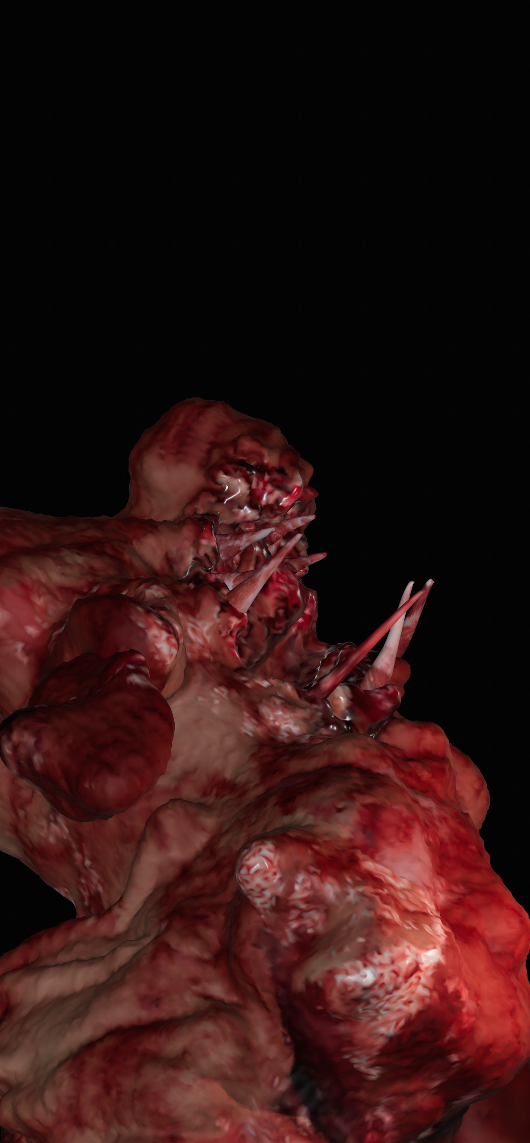 BOCAO Free 3D model_2