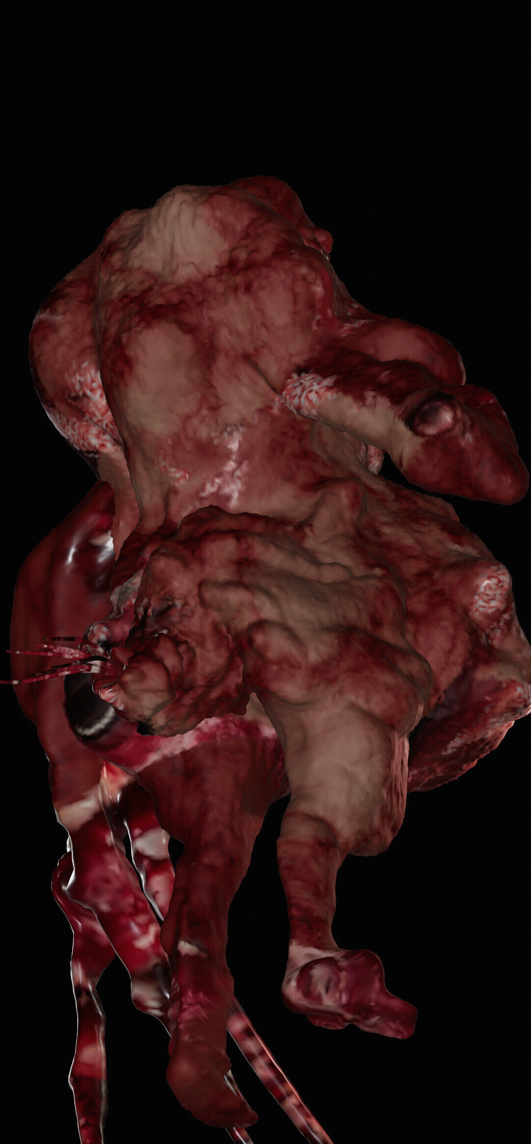 BOCAO Free 3D model_4