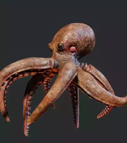 Swimming Octopus Low-poly 3D model