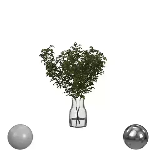 Branches in the vase