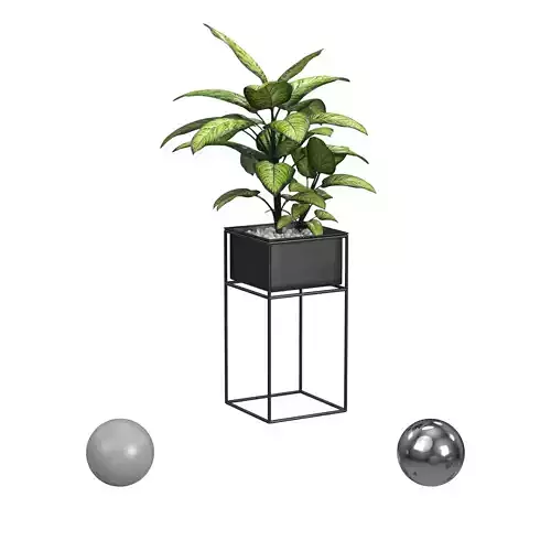 Plant with stone pot 