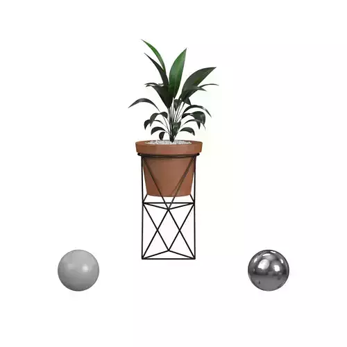 Plant Terra Cotta Planter Black Stand