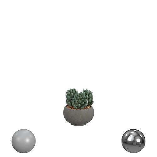 Potted Faux Succulents 3D model