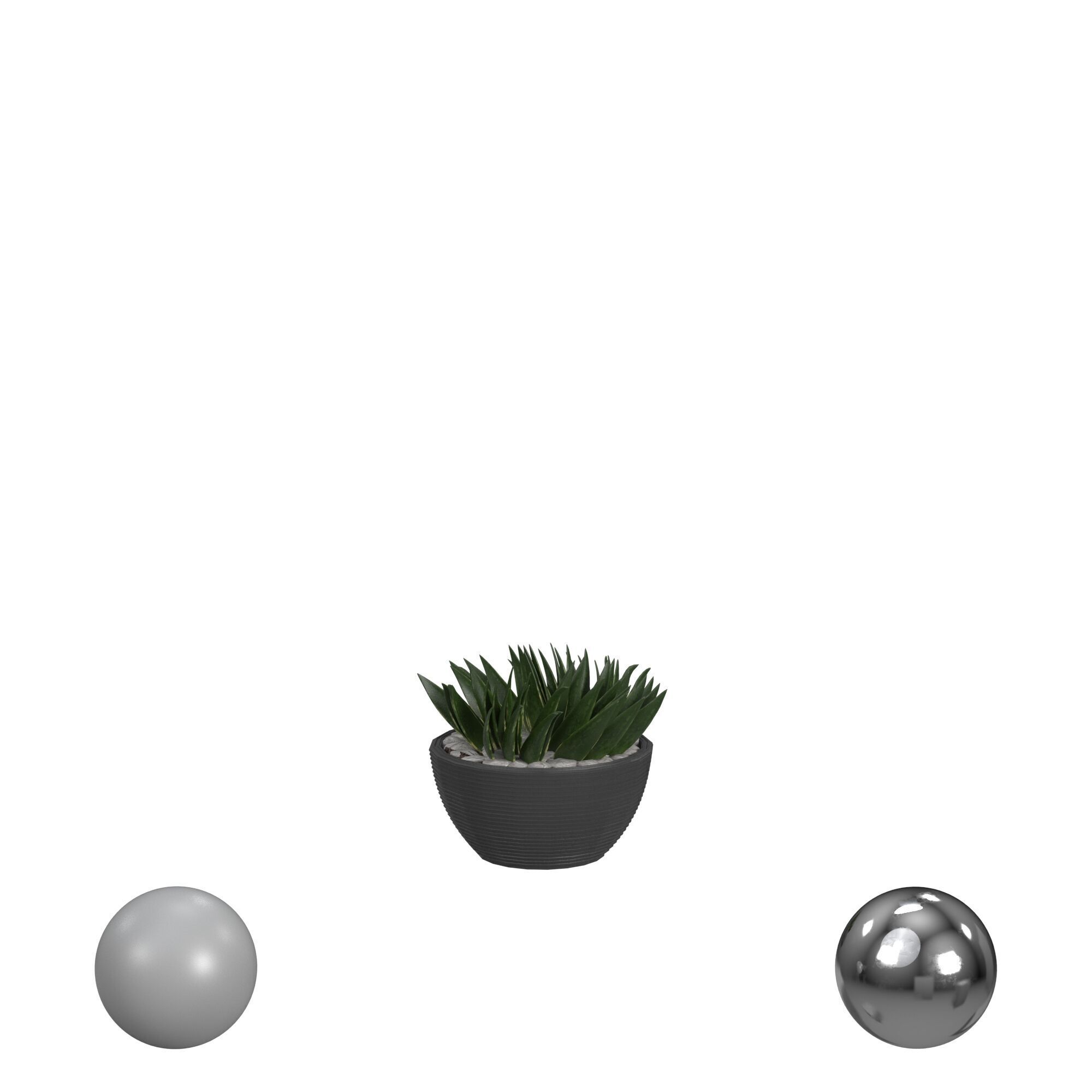 House Plant 3D model_1