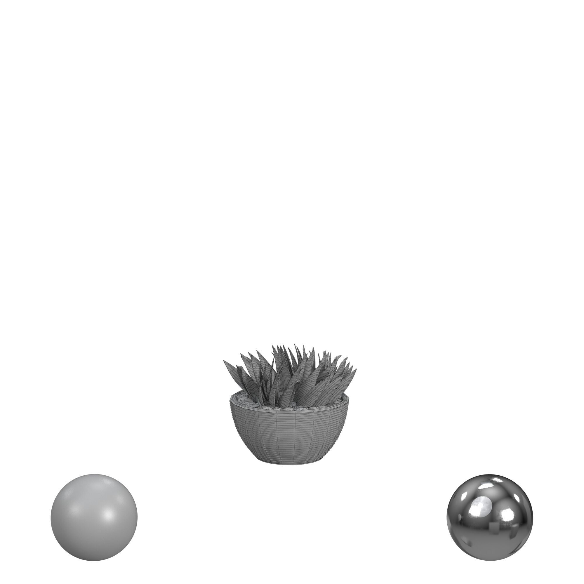 House Plant 3D model_3