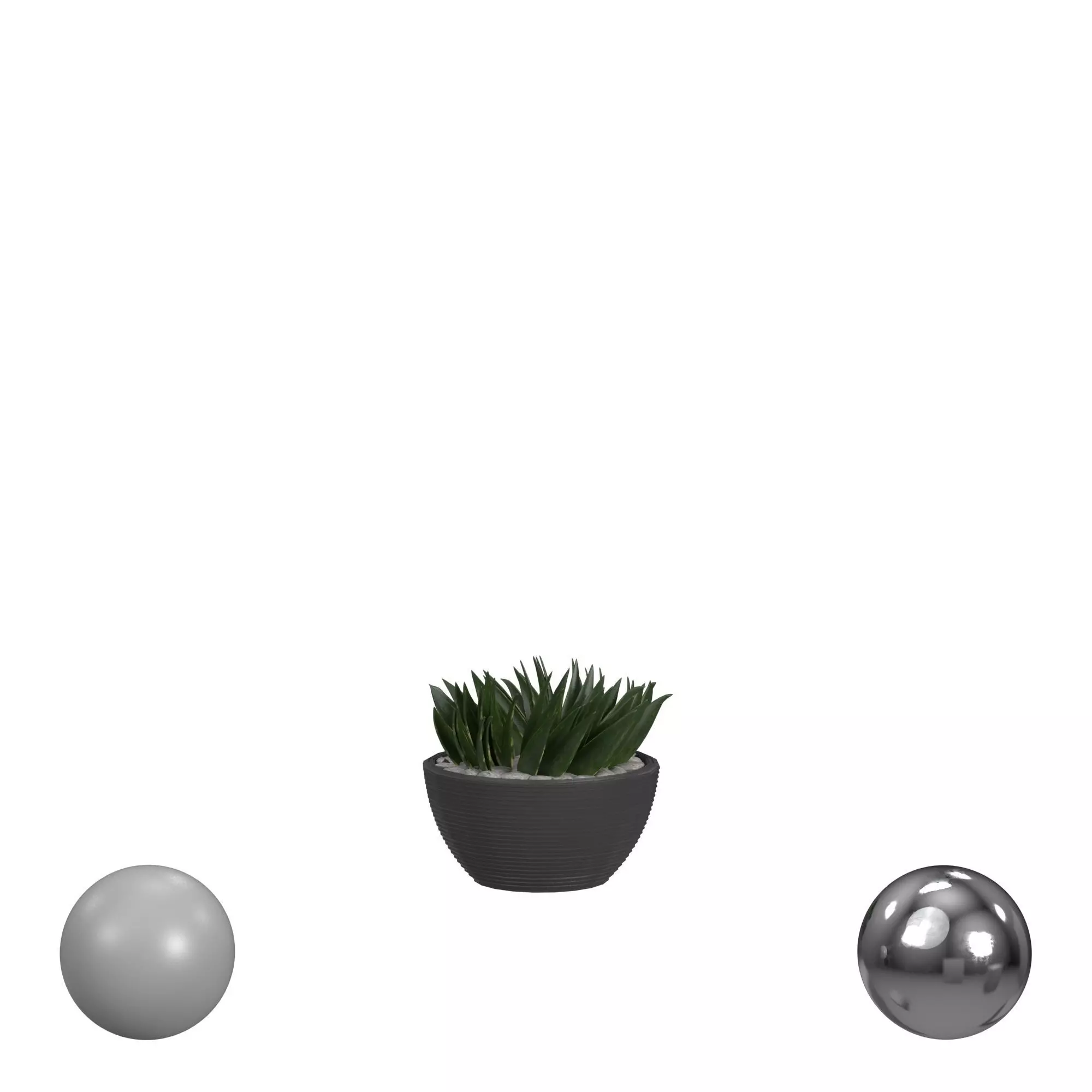 House Plant 3D model_0