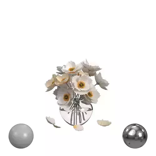 Flower White Poppies