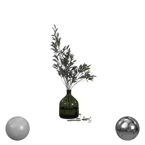 Olive Stems In Glass Vase With Water