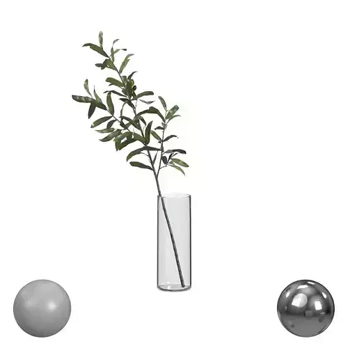 Olive Branch In Vase
