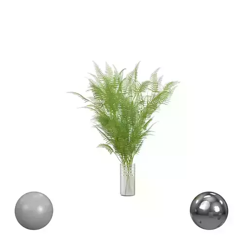 Fern Bouquet in Vase