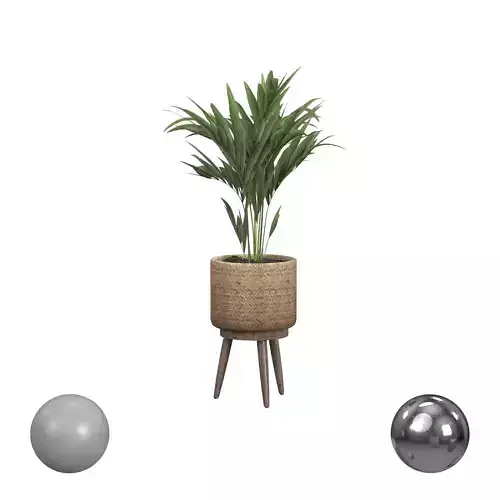 Decorative Palm in a Basket