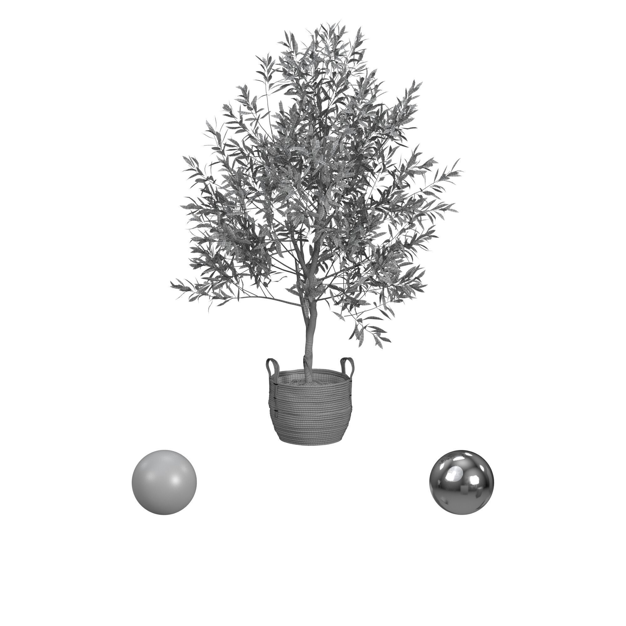 Olive Tree 3D model_3