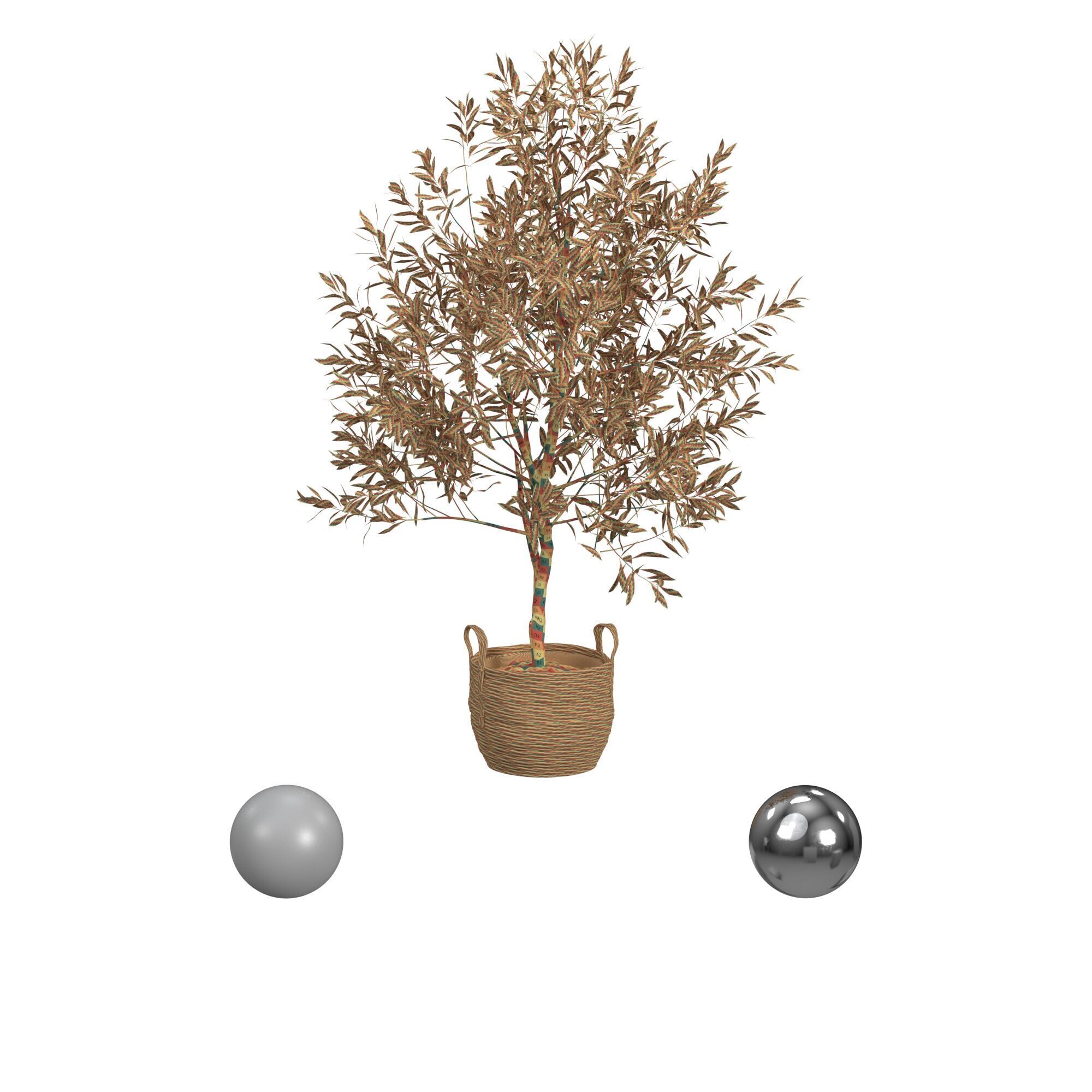 Olive Tree 3D model_2