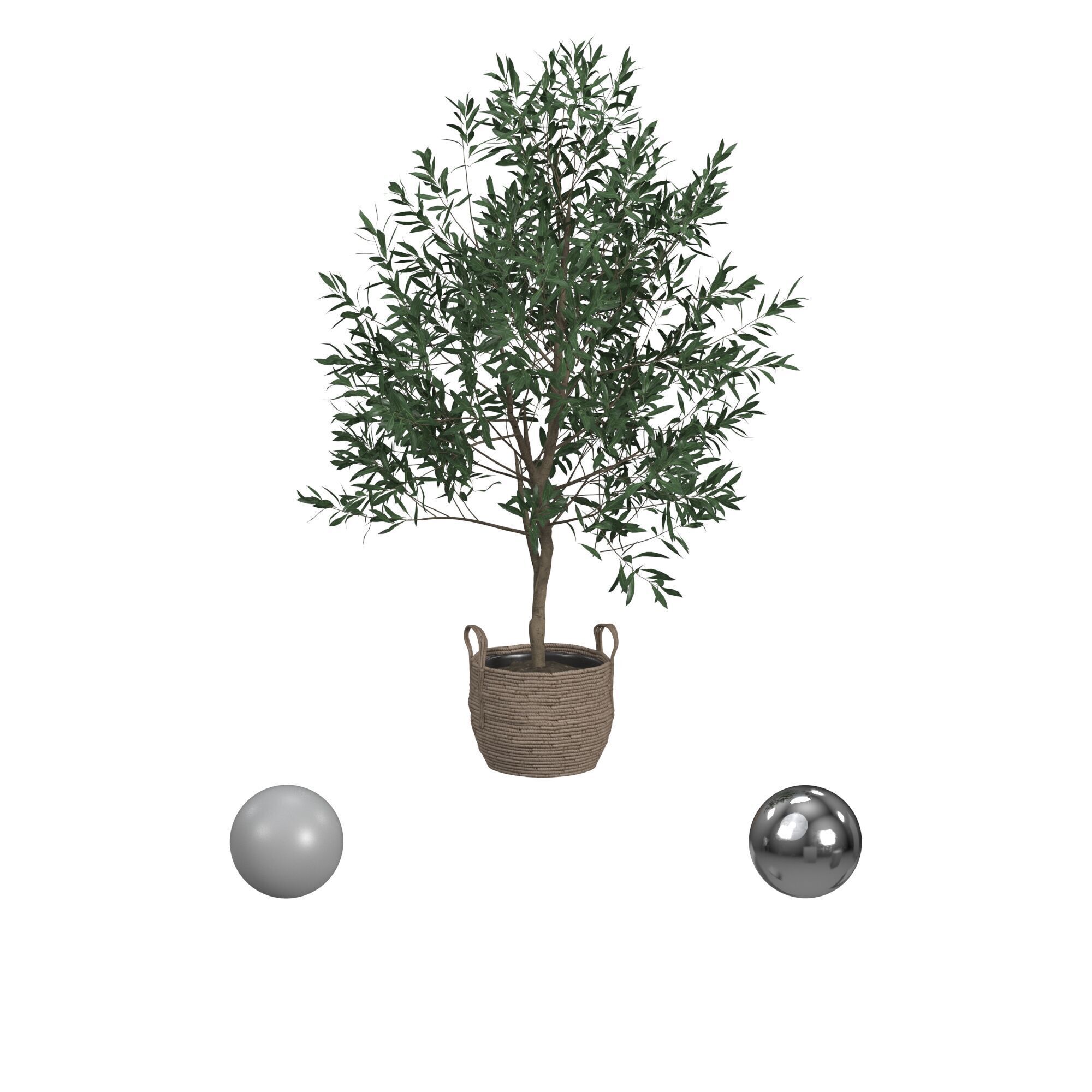 Olive Tree 3D model_1