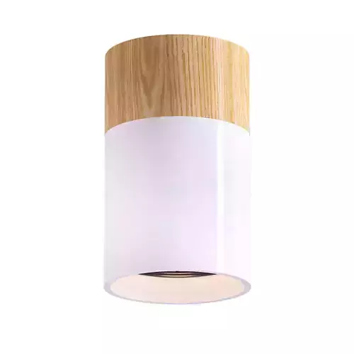 WOOD lamp