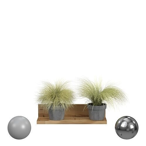 shelf plant 3D model