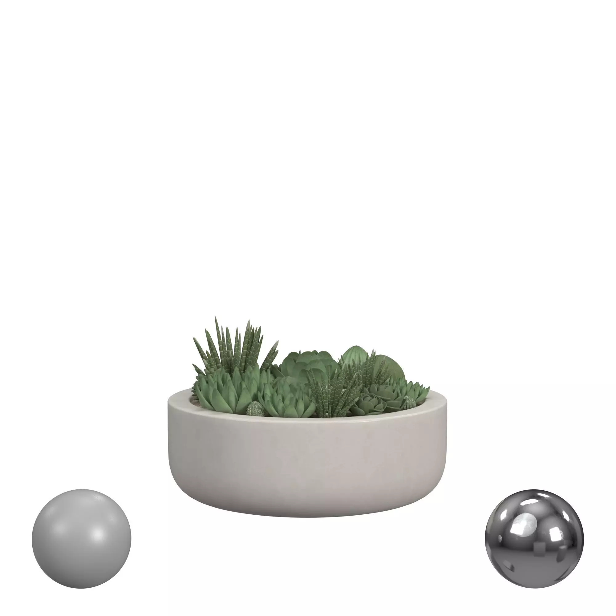 Succulent in Radius Planter Low-poly 3D model_0