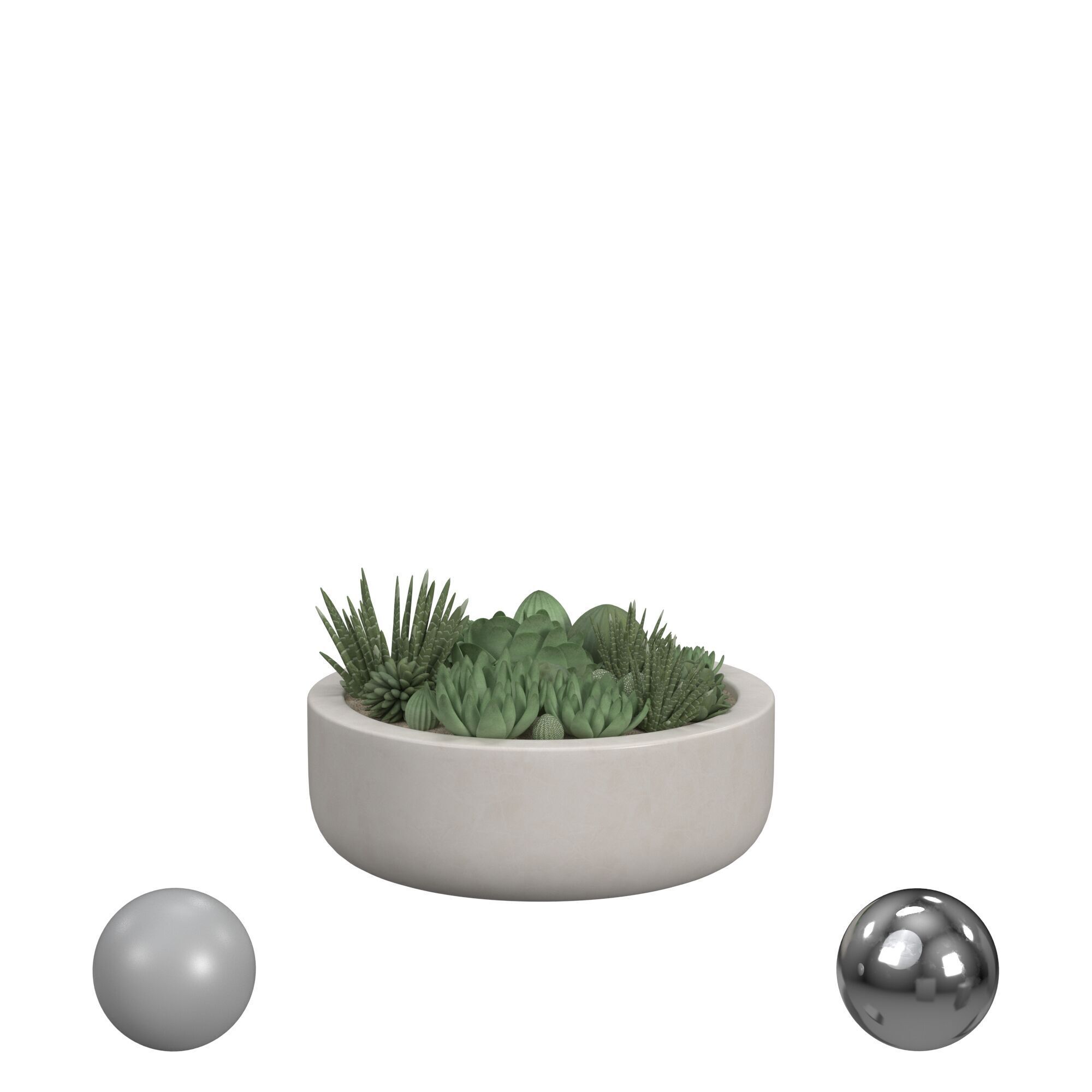 Succulent in Radius Planter Low-poly 3D model_1