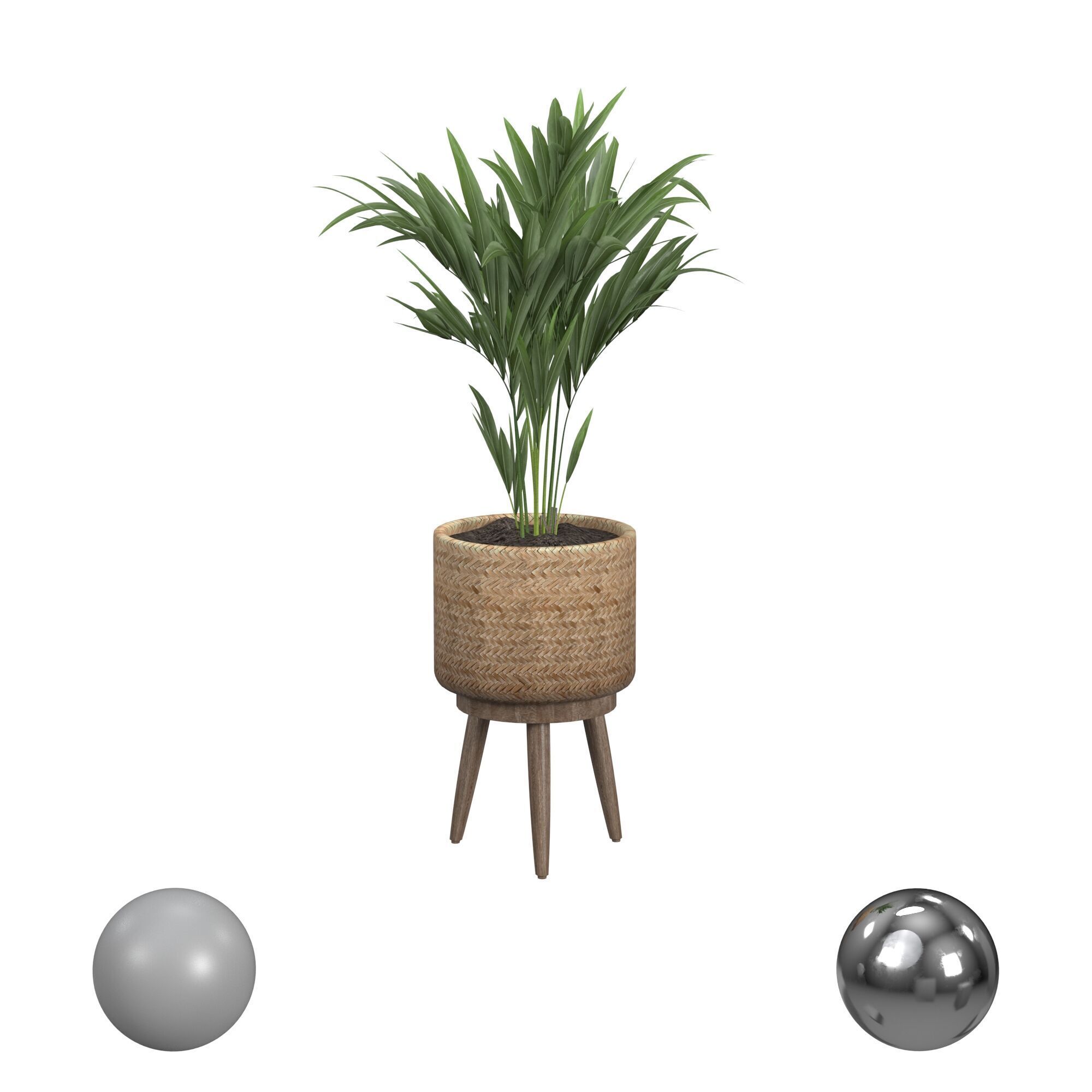 Decorative Palm in a Basket Small 3D model_1