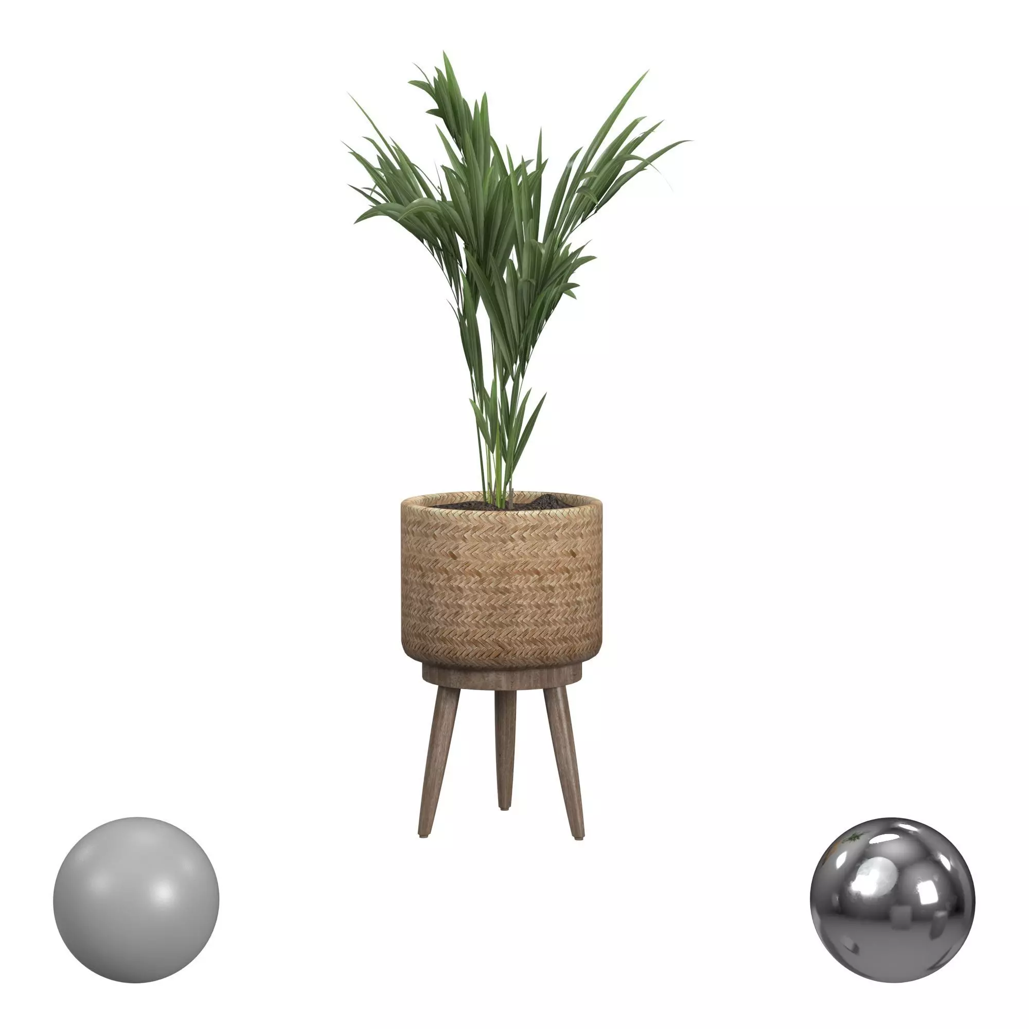 Decorative Palm in a Basket Small 3D model_0