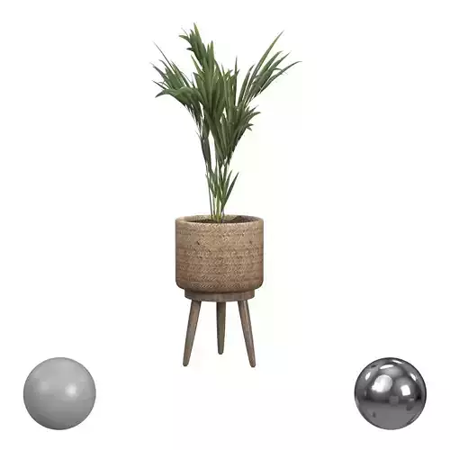 Decorative Palm in a Basket Small