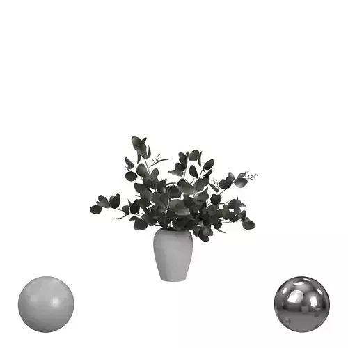 Bouquet of Eucalyptus in White Vase