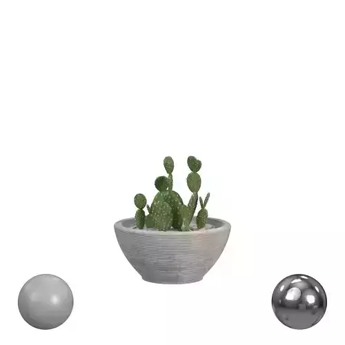 plants set