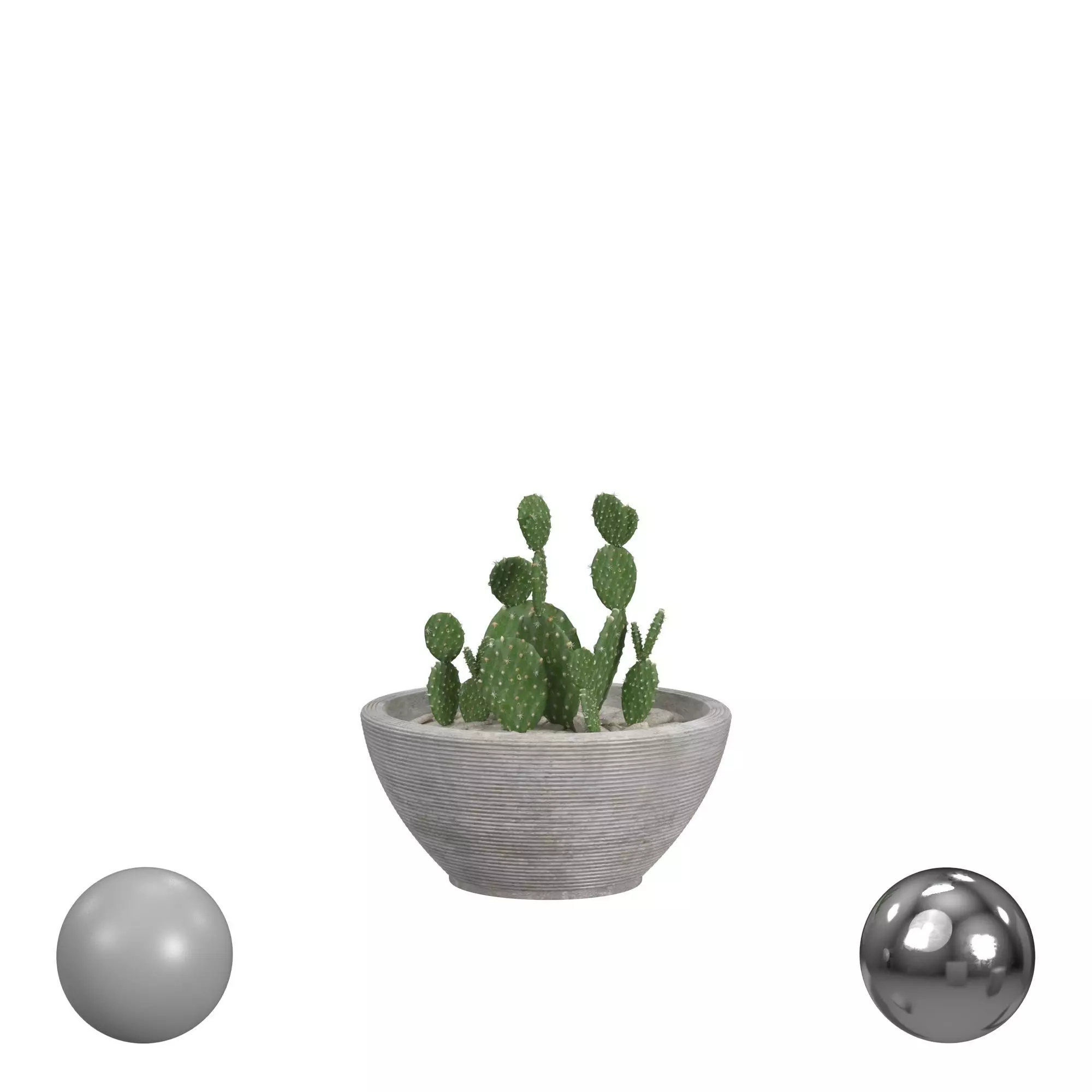 plants set 3D model_0