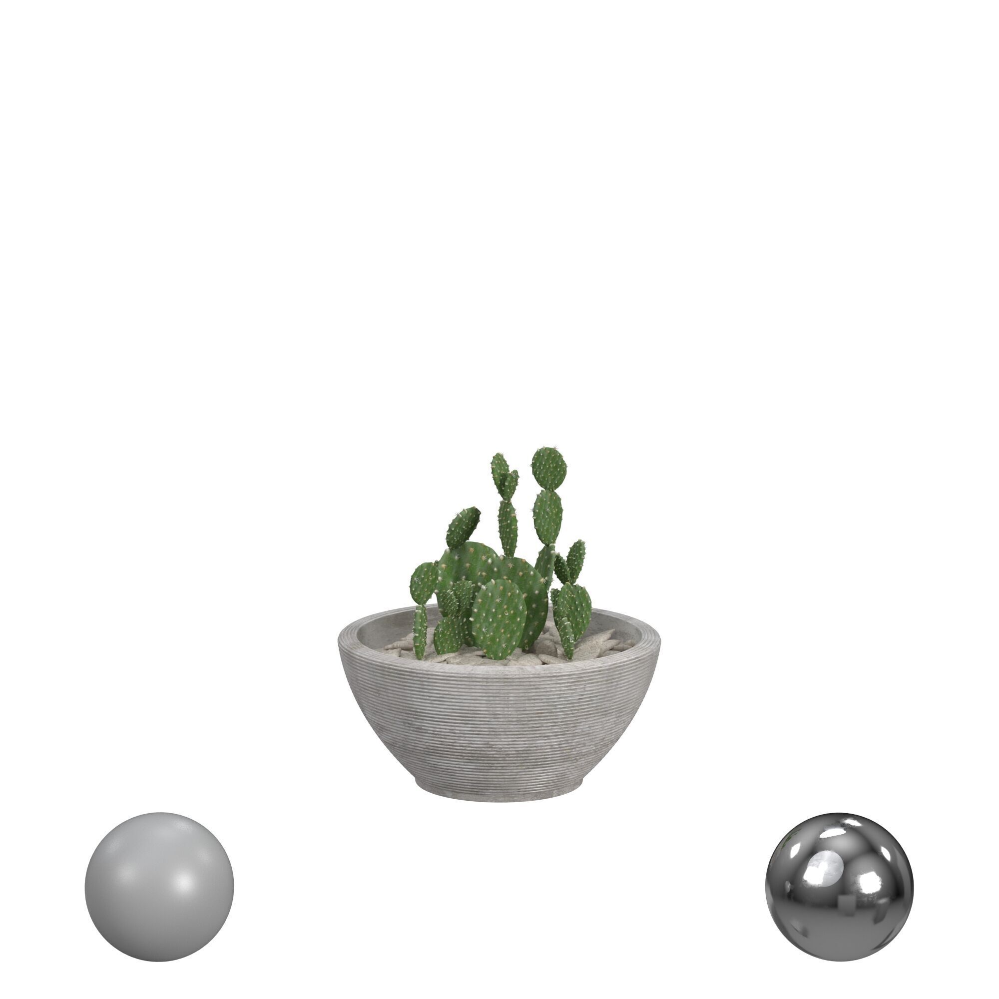 plants set 3D model_1