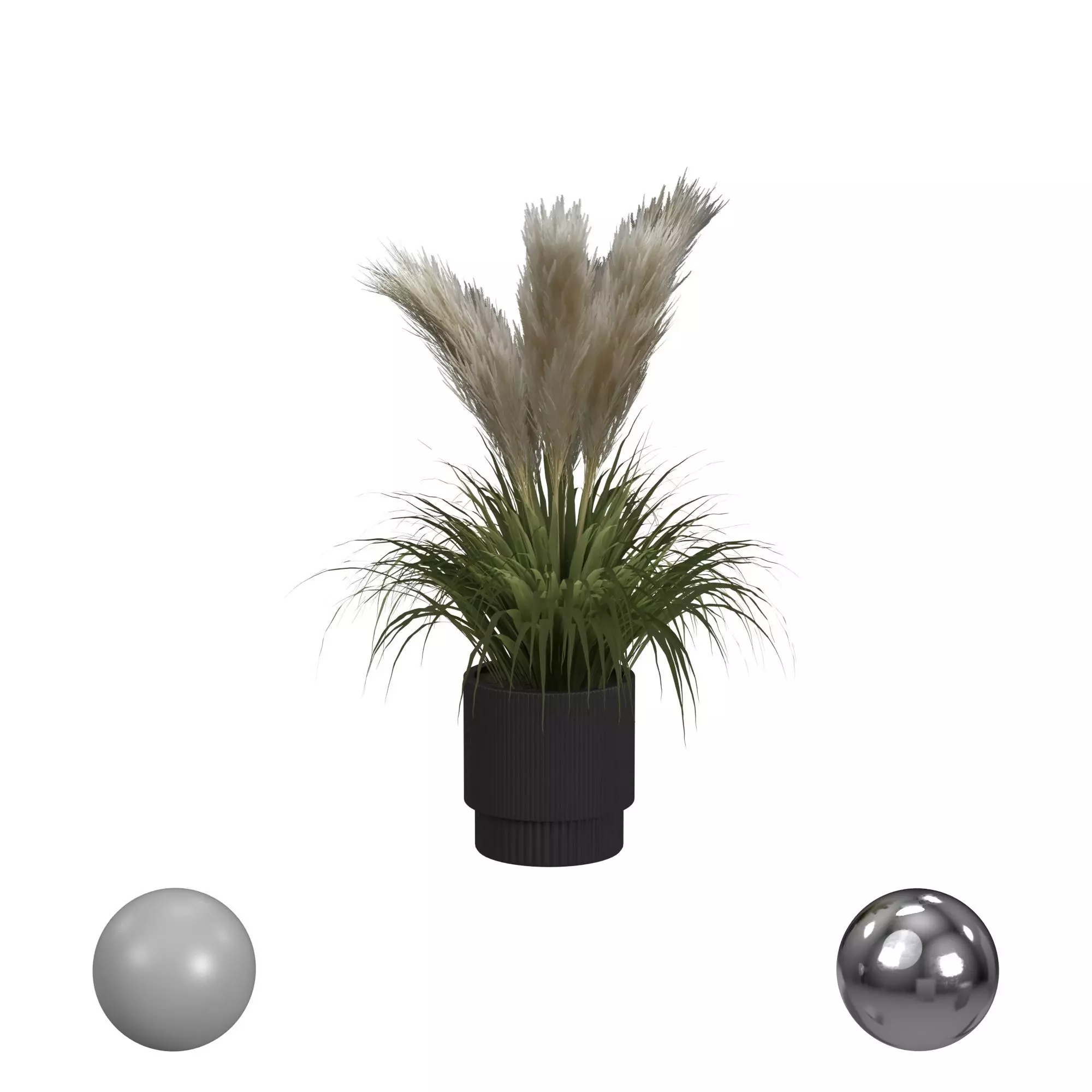 Plant in Black Pot 3D model_0