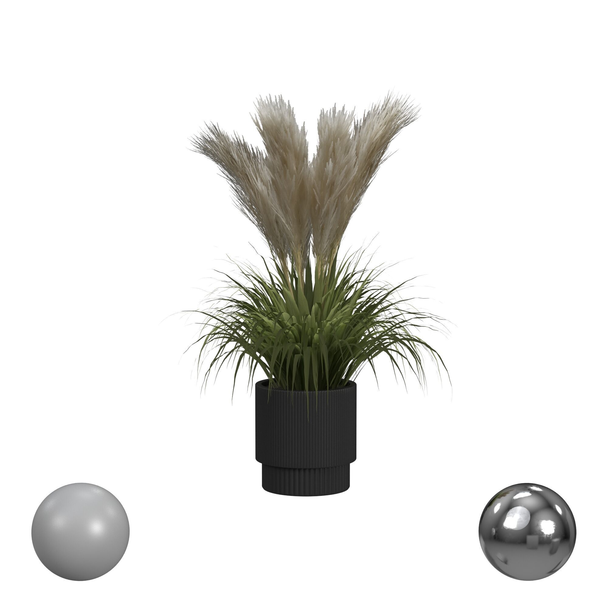 Plant in Black Pot 3D model_1