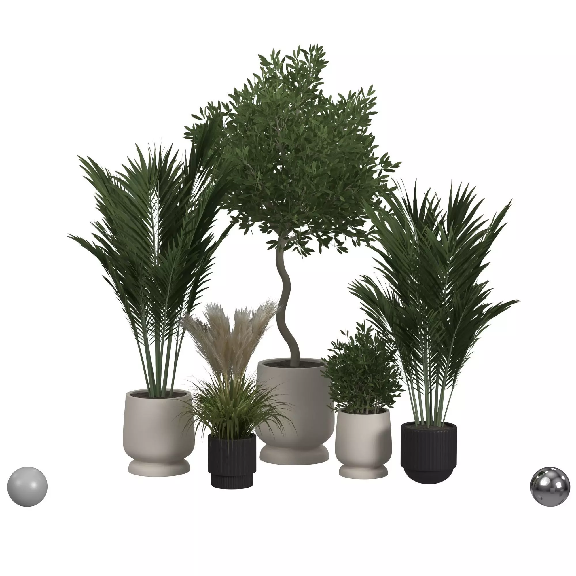 Plant collection  3D model_0