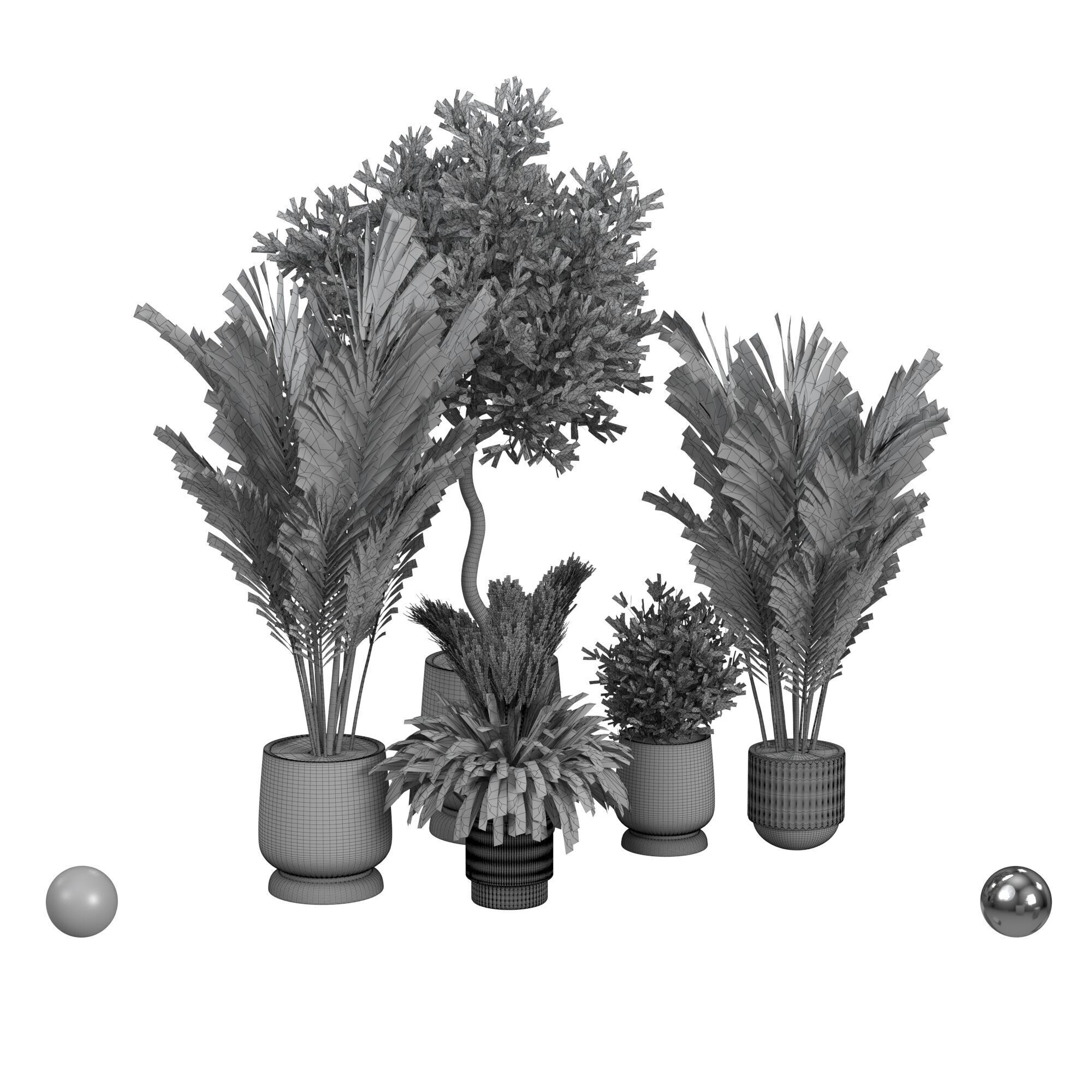 Plant collection  3D model_3