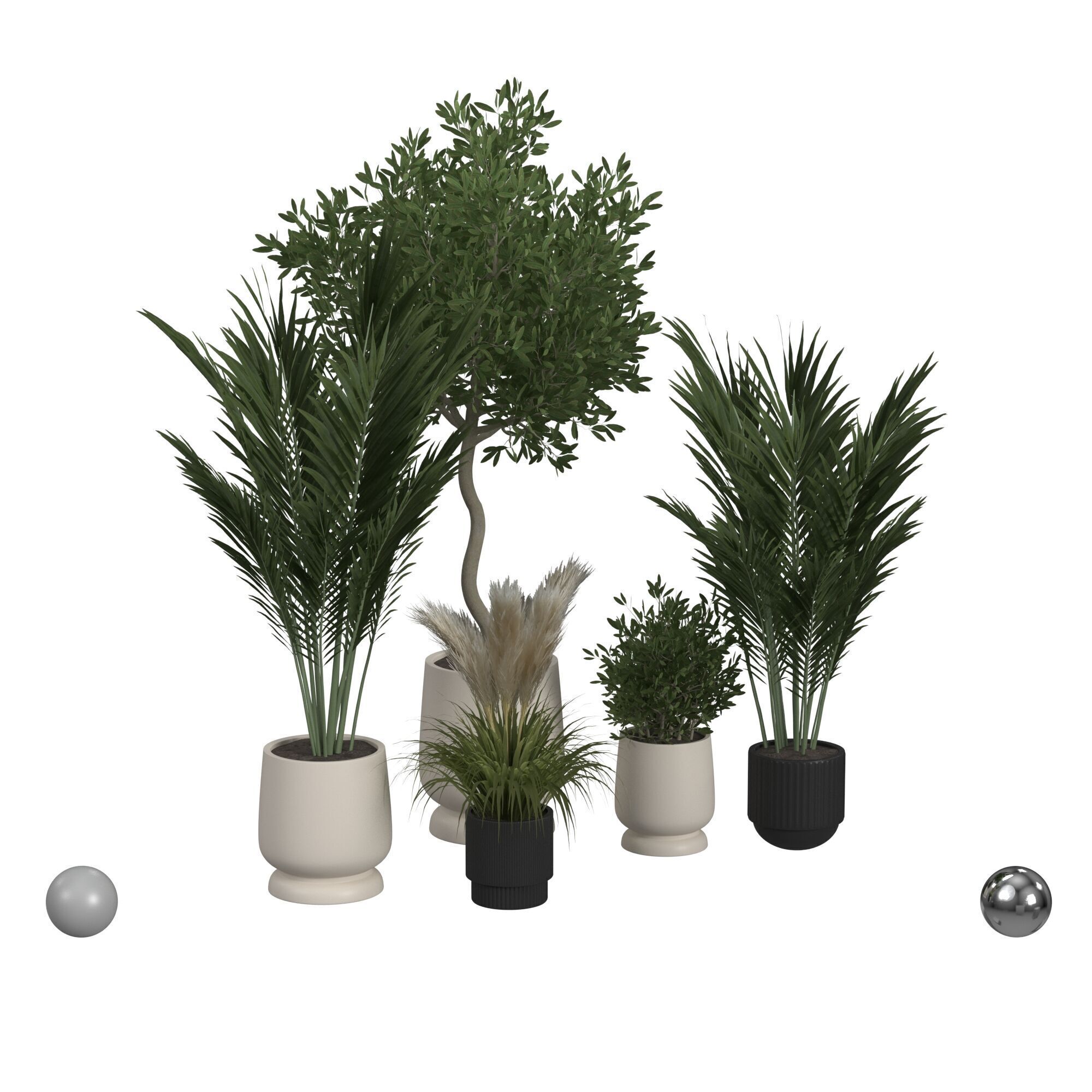 Plant collection  3D model_1