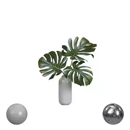 Monstera Leaves in White Vase