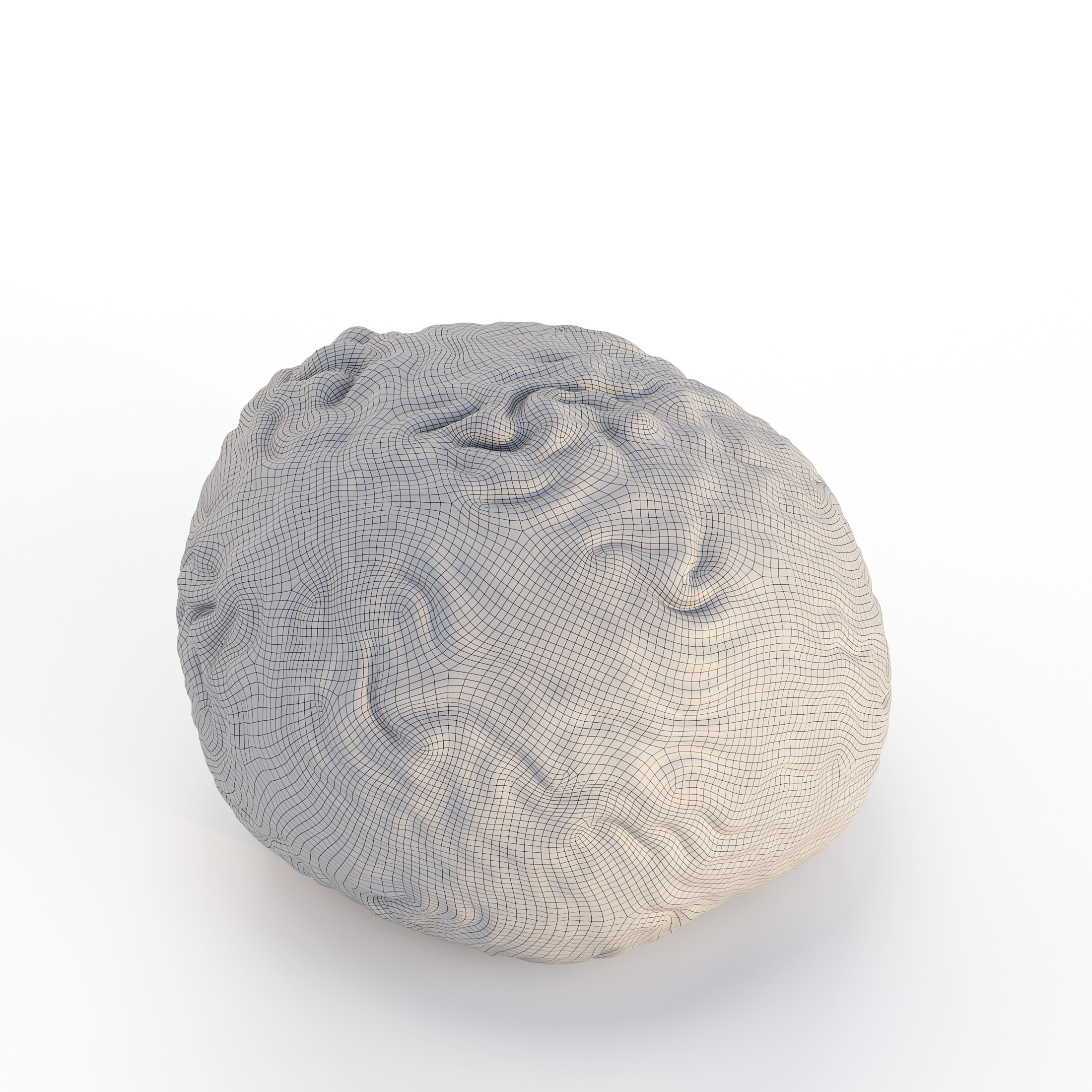 Coral Reef Collection 3D model_12