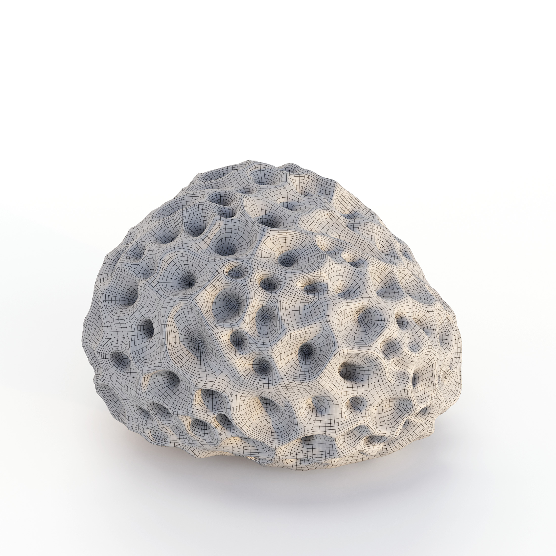 Coral Reef Collection 3D model_26