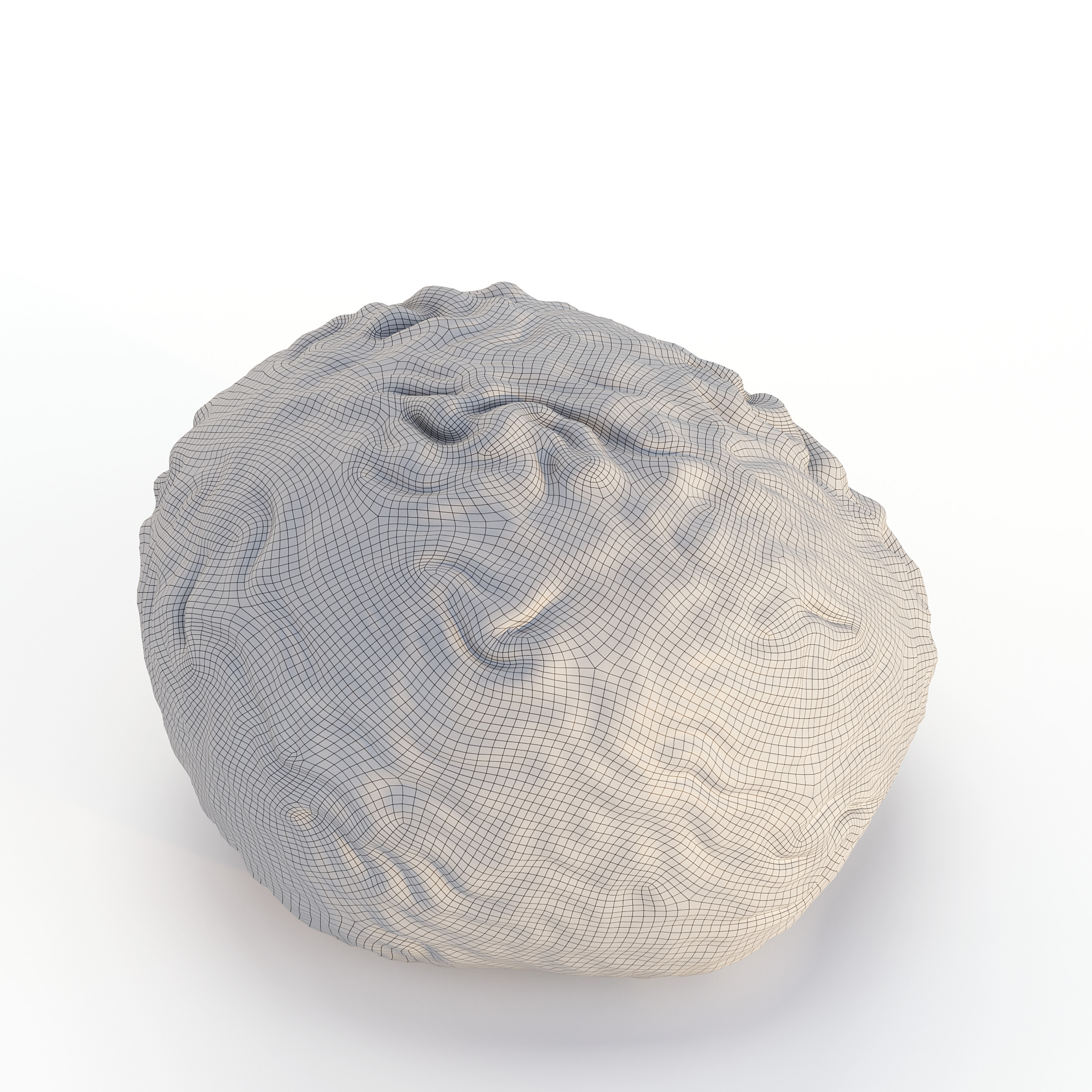 Coral Reef Collection 3D model_14