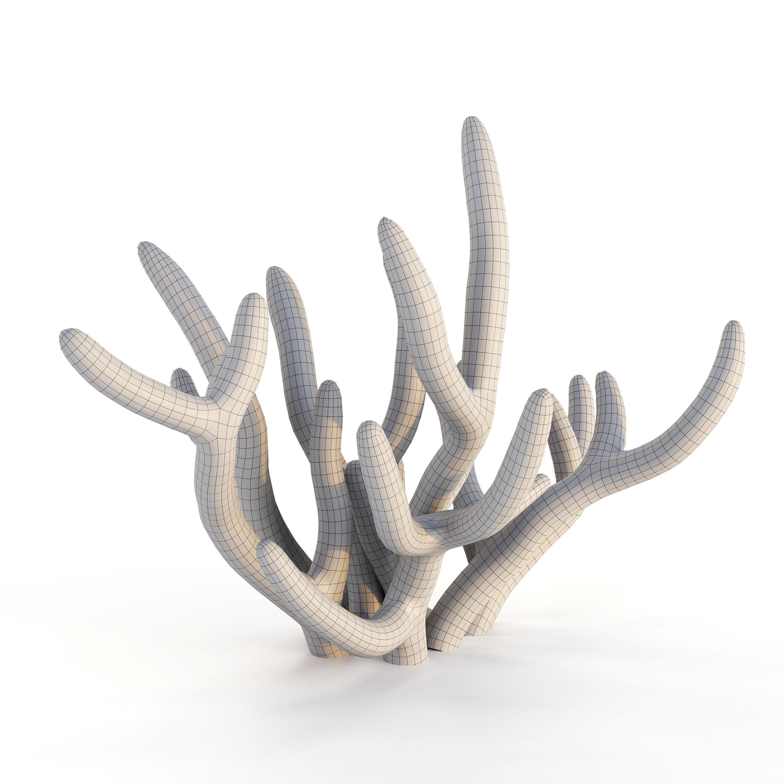 Coral Reef Collection 3D model_30