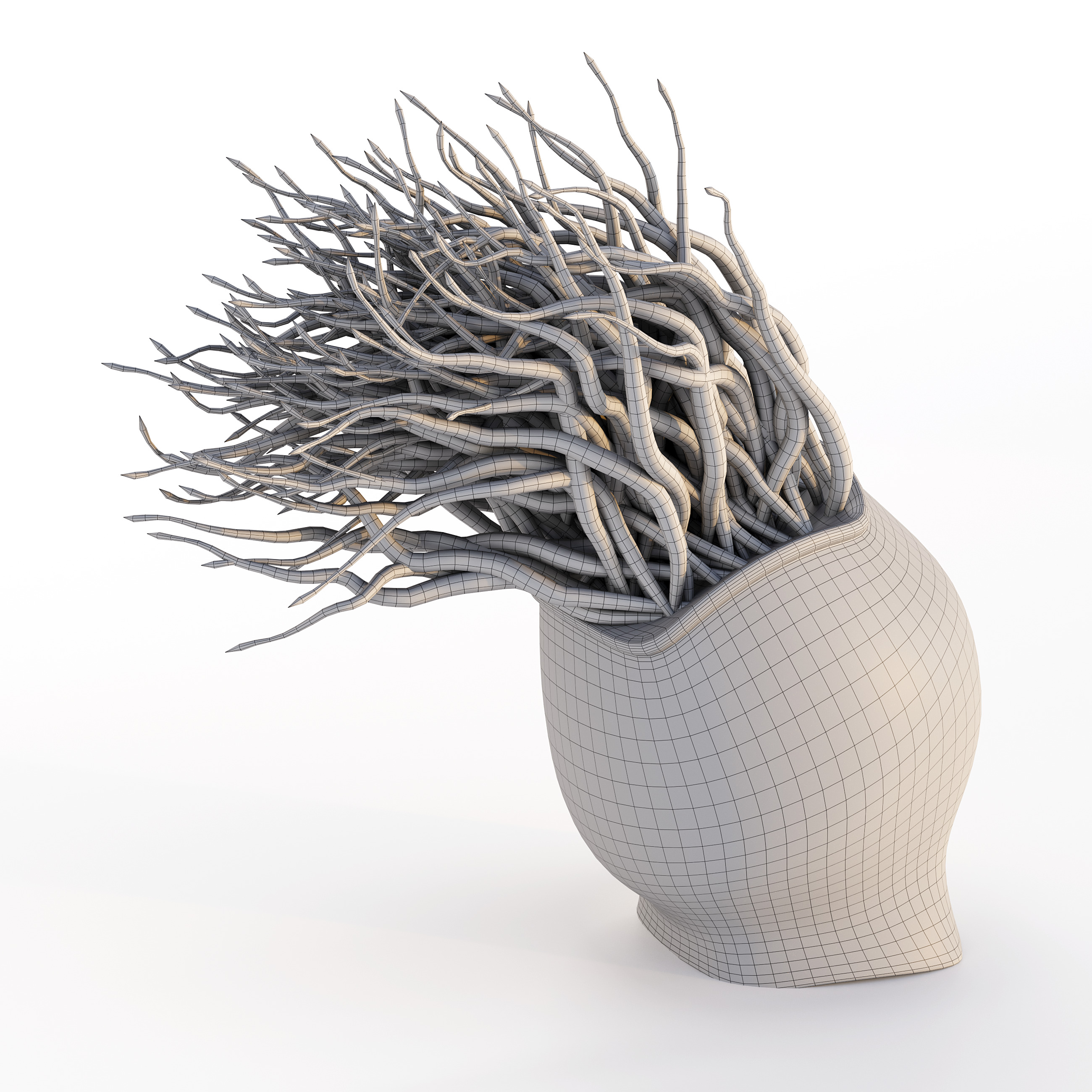 Coral Reef Collection 3D model_16