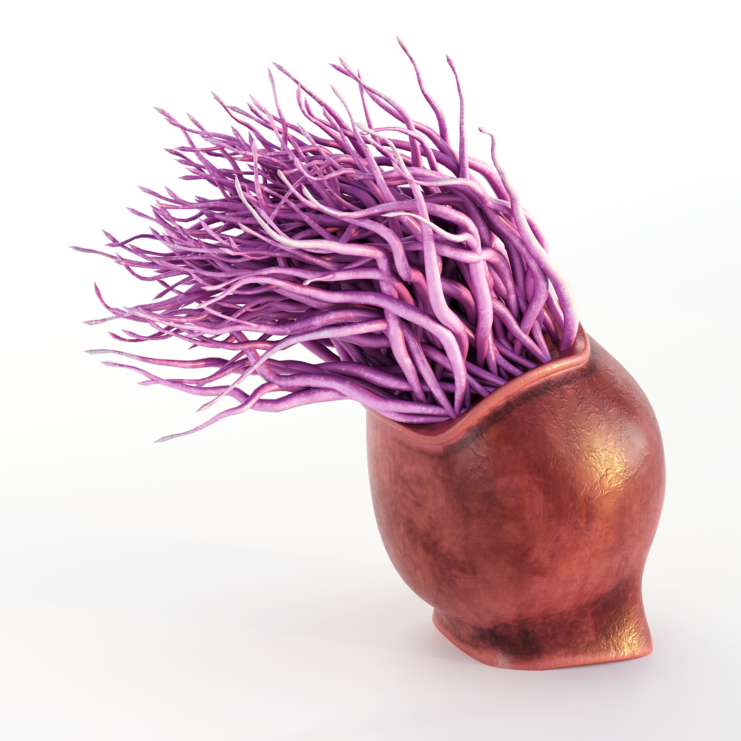 Coral Reef Collection 3D model_15