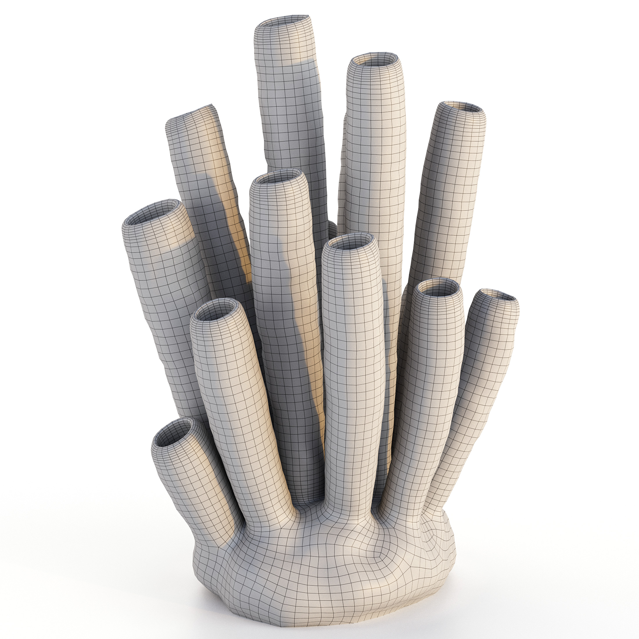 Coral Reef Collection 3D model_23