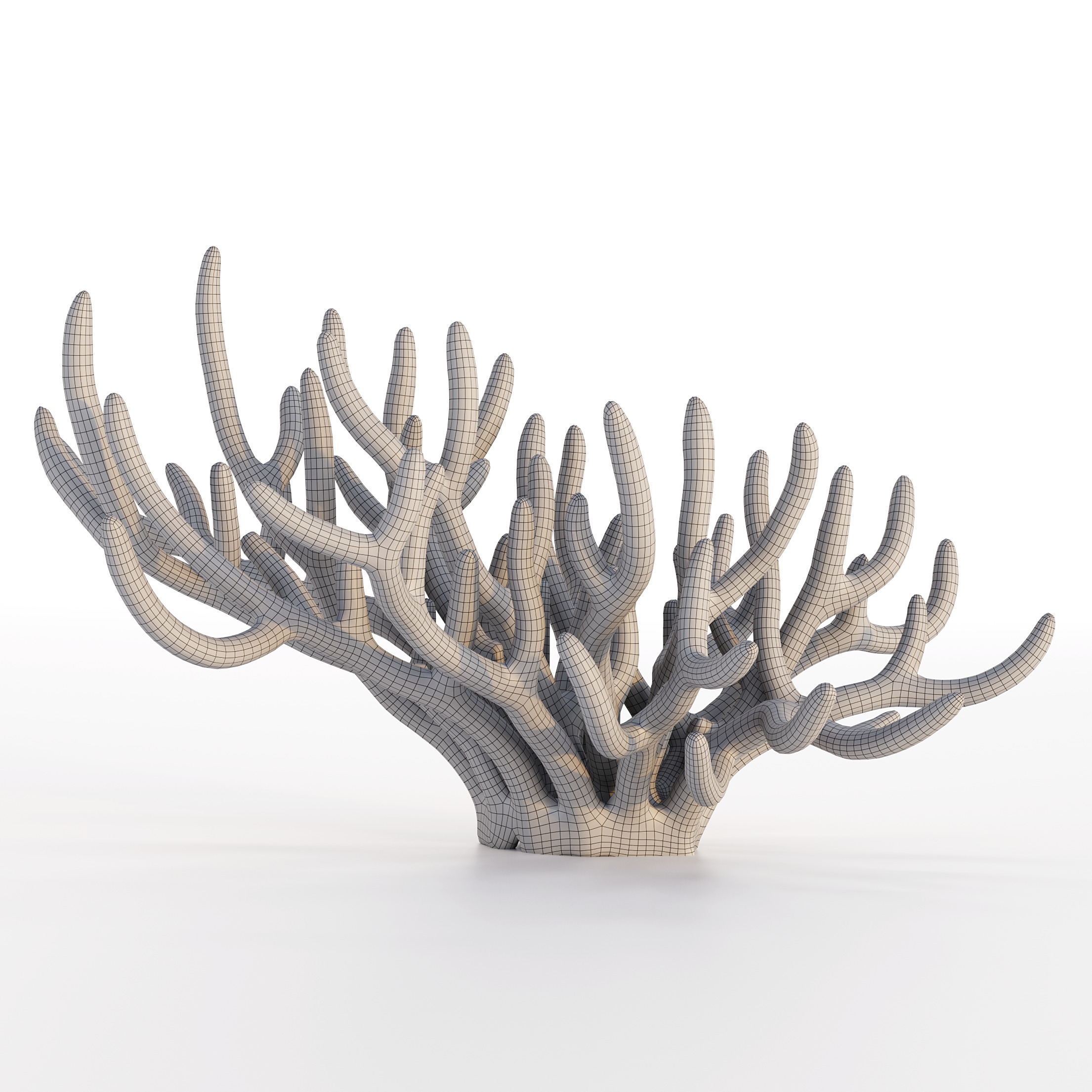 Coral Reef Collection 3D model_28